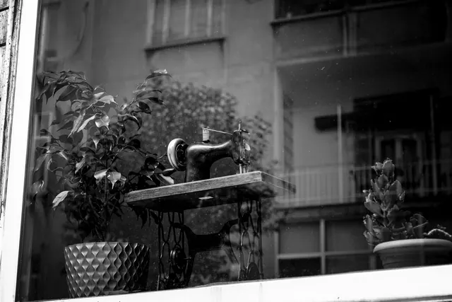 Black and white photo of a vintage sewing machine and plants in an Istanbul window.